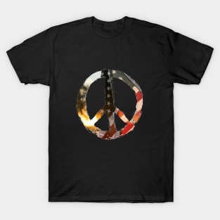 American needs ☮️ T-Shirt